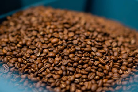 Téléchargez les photos : Café production torréfié et parfumé grains de café se trouvent dans la boîte de préparation pour le transport close-up - en image libre de droit