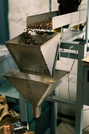 Foto de Los granos de café se empujan sobre el transportador de una coctelera industrial Caída del grano marrón para el embalaje Industria del café - Imagen libre de derechos