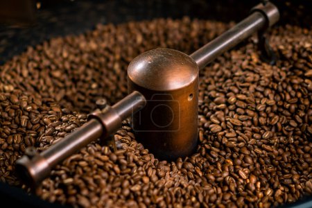 Téléchargez les photos : La production de café est le processus de torréfaction des grains de café frais grains de café mélangés et refroidis close-up - en image libre de droit