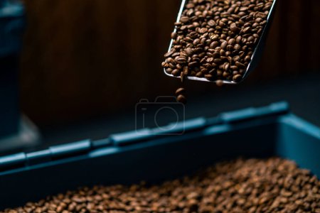 a factory worker collects freshly roasted aromatic coffee beans with spatula for sale