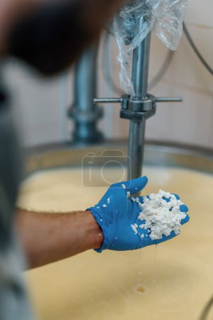 Foto de Mezcla de leche en la fábrica de queso fabricante de queso comprueba el queso a mano en el tanque grande Pasteurización Queso producción fábrica de queso - Imagen libre de derechos