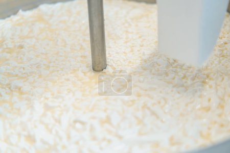Téléchargez les photos : Fromage à pâte molle est transformé Technologiquement avancé Usine de produits laitiers Fabrication de produits laitiers - en image libre de droit