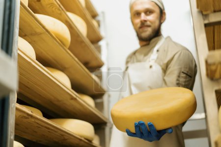 Téléchargez les photos : Fromager en uniforme à la production de fromage homme se tient dans un entrepôt avec des étagères en bois têtes de fromage plein tient le fromage dans la main - en image libre de droit
