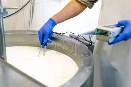 Foto de Un empleado mide la temperatura de la leche que se pasteuriza en una cuba en una fábrica de queso utilizando un dispositivo profesional - Imagen libre de derechos