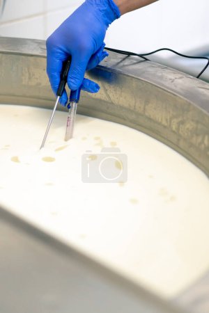 Photo for An employee measures the temperature of milk being pasteurized in a vat at a cheese factory using professional device - Royalty Free Image