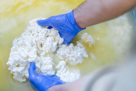Téléchargez les photos : Un fromager mélange le fromage et le lactosérum à la main dans un grand récipient artisanal fromages frais biologiques - en image libre de droit