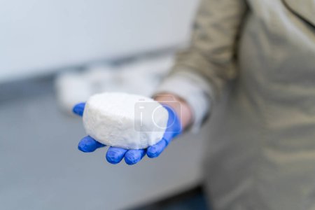 Photo for Close-up of a worker holding organic soft cheese in a paper wrapper in a gloved hand for the production craft cheeses - Royalty Free Image