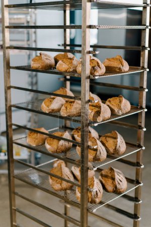 Photo for Bakery fresh and aromatic bread lies on the shelves of the craft production  flour products - Royalty Free Image