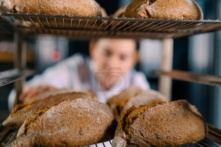 Photo for Attractive female baker between shelves looking and checking freshly baked bread very carefully bakery industry - Royalty Free Image