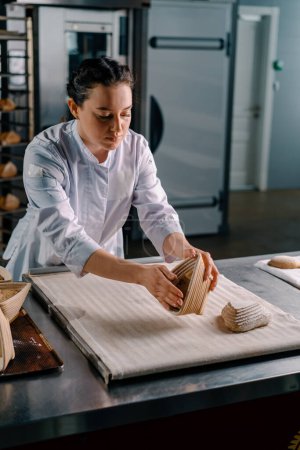 Foto de Panadero hermosa mujer concentrada presenta rollos de pan crudo de moldes antes de hornear pasteles de producción de panadería - Imagen libre de derechos