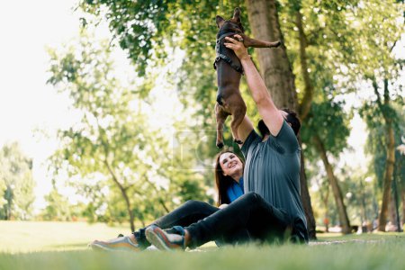 Téléchargez les photos : Homme barbu soulève son chien bouledogue français au ciel dans le parc jouer et caresser mignon petit chien - en image libre de droit
