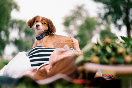 Téléchargez les photos : Petit chien mignon drôle avec propriétaire sur une promenade dans le parc fille animal de compagnie en plein air heureuse amitié mensonges fille - en image libre de droit