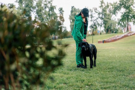 Foto de Una mujer entrena a un perro negro de una gran raza Cane Corso en un paseo por el parque alaba y acaricia a su mascota - Imagen libre de derechos