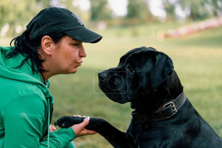Téléchargez les photos : Une femme entraîne un chien noir d'une grande race Cane Corso lors d'une promenade dans le parc le chien obéit à l'ordre de me donner la patte - en image libre de droit