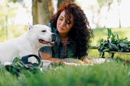Téléchargez les photos : Beau chien blanc de race pitbull staffordshire terrier lors d'une promenade dans le parc avec le propriétaire sur herbe portrait d'animal d'été - en image libre de droit