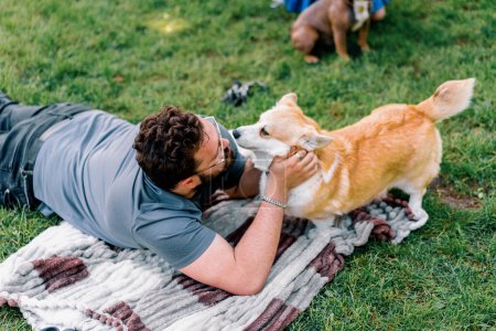Foto de Barbudo hombre descansa en el parque con su mascota corgi perro en la naturaleza lame propietario verano picnic - Imagen libre de derechos