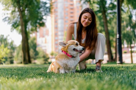Téléchargez les photos : Une jeune fille un zoopsychologue calme un chien corgi dans le parc le chien est assis à côté du propriétaire qui la loue - en image libre de droit