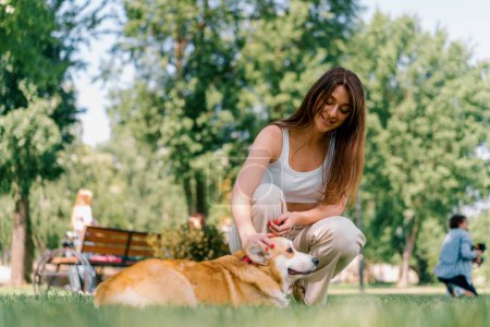 Foto de Una chica joven un zoopsicólogo calma a un perro corgi en el parque el perro se sienta al lado del propietario que la elogia - Imagen libre de derechos