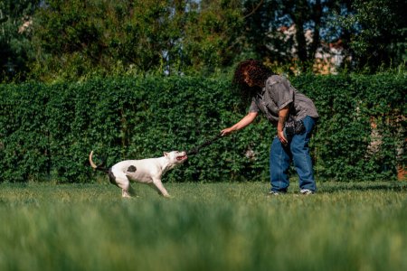 Foto de Hermosa chica rizada entrenamiento un blanco pit bull perro con una cuerda en sus manos amor animales - Imagen libre de derechos