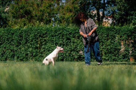 Téléchargez les photos : Belle fille bouclée formation un chien pit-bull blanc avec un régal dans ses mains aiment les animaux - en image libre de droit