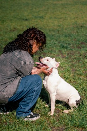 Photo for Dog psychologist calms a white dog of a large pit bull breed in the park a pet with a protruding tongue stressed - Royalty Free Image