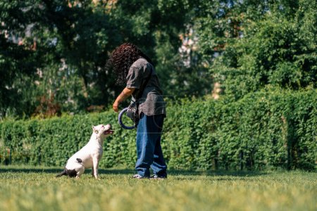 Foto de Una joven juega con un perro blanco de una raza de pit bull grande en el parque burlándose de ella con juguete - Imagen libre de derechos