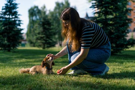 Téléchargez les photos : Mignon petit chien avec balle et propriétaire Attrayant jeune entraîneur féminin jouer avec son animal drôle intelligent dans le parc - en image libre de droit