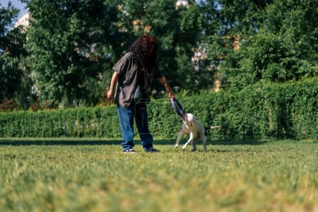Foto de Una jovencita juega con un perro blanco de una raza de pit bull grande en el parque con un juguete que el perro corre tras ella y tira del juguete con sus dientes - Imagen libre de derechos