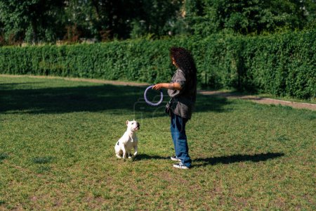Téléchargez les photos : Une jeune fille joue avec un chien blanc d'une grande race de pit-bull dans le parc en la taquinant avec un jouet - en image libre de droit