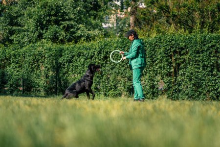 Téléchargez les photos : Une femme joue avec un chien noir d'une grande canne corso se reproduire sur une promenade dans le parc avec un chien jouet obéissant aux ordres du maître - en image libre de droit