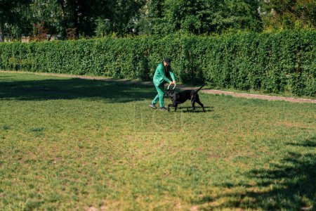 Foto de Una mujer juega con un perro negro de una raza de corso de caña grande en un paseo por el parque con un perro de juguete obedeciendo las órdenes del amo - Imagen libre de derechos