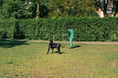 Foto de Una mujer juega con un perro negro de una raza de corso de caña grande en un paseo por el parque lanza juguete el perro corre tras ella - Imagen libre de derechos