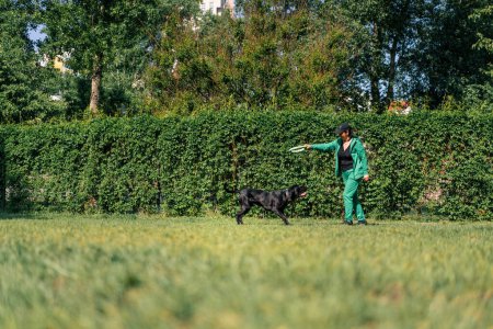 Foto de Una mujer juega con un perro negro de una raza de corso de caña grande en un paseo por el parque con un perro de juguete obedeciendo las órdenes del amo - Imagen libre de derechos