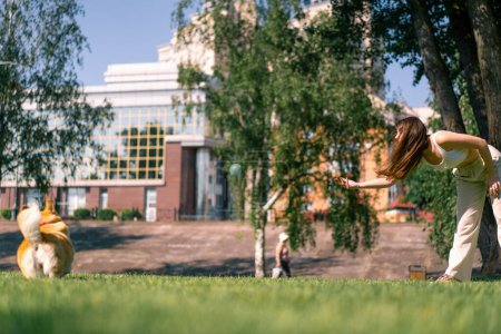 Téléchargez les photos : Une jeune fille joue avec un chien corgi dans le parc, lance une balle dans la nature un chien court après jouet - en image libre de droit