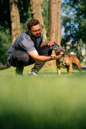 Téléchargez les photos : Le propriétaire donne des friandises de la main à un petit chien mignon de la race Bulldog français en promenade dans le parc - en image libre de droit