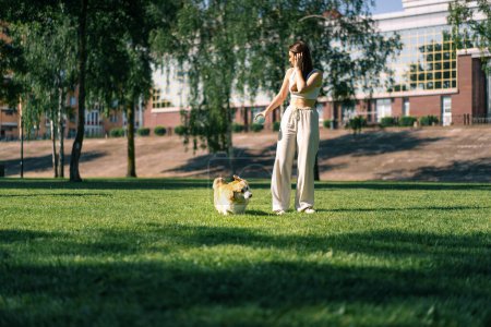 Foto de Una chica joven entrena a un lindo perro corgi en el parque, el propietario corre con ella y juega en el paseo de verano animales de la naturaleza - Imagen libre de derechos