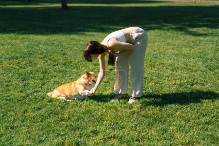 Photo for A young girl trains a corgi dog in the park the dog obeys the master's command give me paw - Royalty Free Image