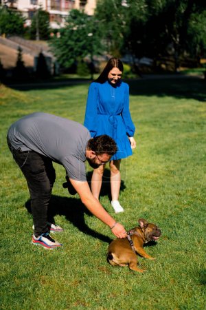 Téléchargez les photos : Un couple familial en promenade avec un bouledogue français dans le parc les propriétaires jouent avec un petit chien mignon - en image libre de droit
