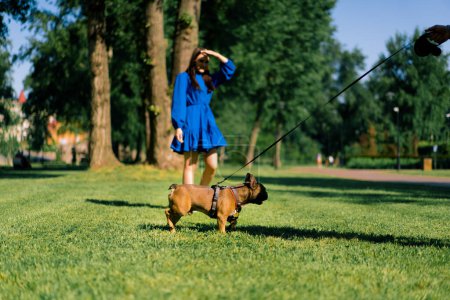 Foto de Una pareja familiar en un paseo con un bulldog francés en el parque los propietarios están jugando con lindo perrito - Imagen libre de derechos