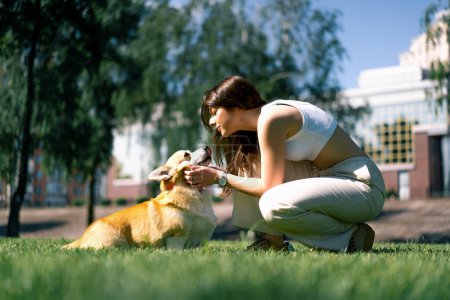 Foto de Retrato de una joven y un lindo perro corgi, el propietario besa al perro en la nariz en un paseo por el parque - Imagen libre de derechos