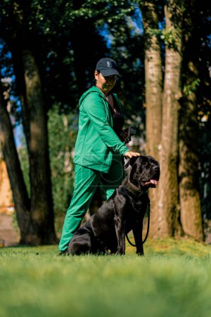 Foto de Un perro obediente de una gran raza de corso de caña en un paseo en un parque de entrenamiento practica comandos con entrenador - Imagen libre de derechos