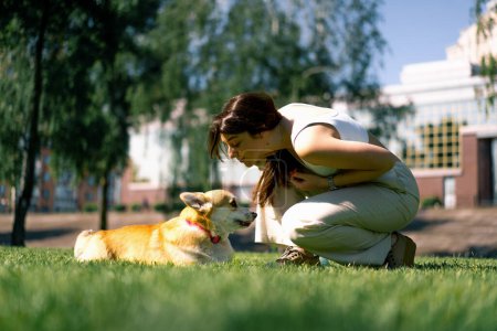 Foto de Una chica joven un zoopsicólogo calma a un perro corgi en el parque el perro se sienta al lado del propietario que la elogia - Imagen libre de derechos