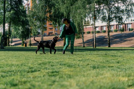 Foto de Un perro obediente de una gran raza de corso de caña en un paseo en un parque de entrenamiento practica comandos con entrenador - Imagen libre de derechos