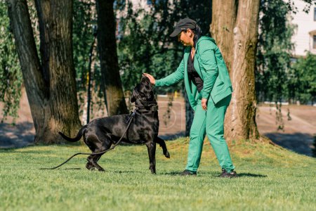 Photo for A woman trains a black dog of a large Cane Corso breed on a walk in the park the dog follows owner's commands - Royalty Free Image