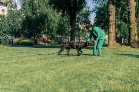 Photo for A woman trains a black dog of a large Cane Corso breed on a walk in the park the dog follows owner's commands - Royalty Free Image