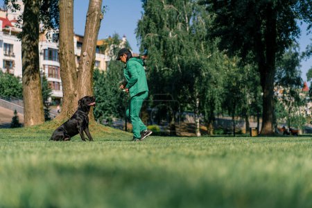Foto de Una mujer entrena a un perro negro de una gran raza Cane Corso en un paseo por el parque el perro sigue las órdenes del propietario - Imagen libre de derechos