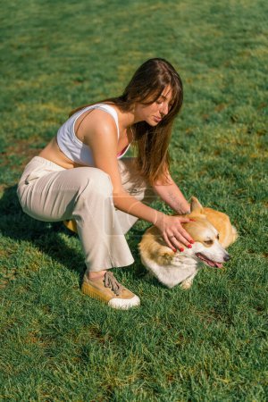 Téléchargez les photos : Un psychologue chien calme un mignon corgi dans le parc le propriétaire la caresse avec sa main et la loue sur la promenade nature estivale des animaux - en image libre de droit