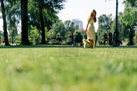 Téléchargez les photos : Une jeune fille forme un chien corgi mignon dans le parc, le propriétaire court avec elle et joue sur la promenade été animaux de la nature - en image libre de droit