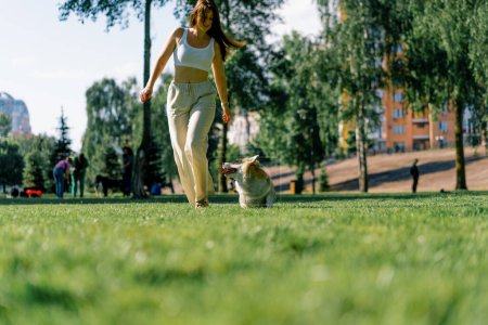 Photo for A young girl trains a cute corgi dog in the park, the owner runs with her and plays on walk summer nature animals - Royalty Free Image