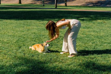 Photo for A young girl, a zoopsychologist calms down a corgi dog in the park the dog lies next to the owner who praises - Royalty Free Image